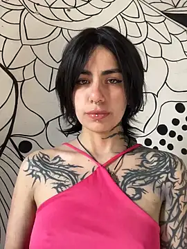  Artemisa X online show from 04/07/26, 12:40