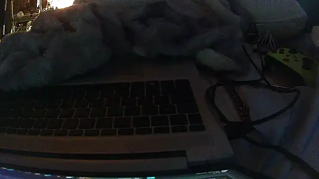 jaxx12369 online show from 02/10/26, 07:35