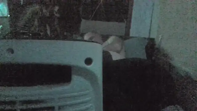 jaxx12369 online show from 02/22/26, 07:04