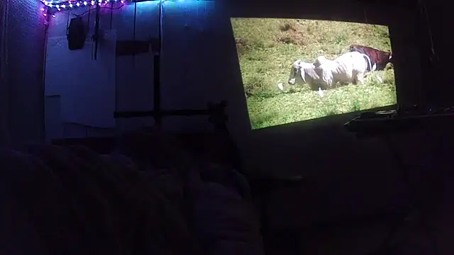 jaxx12369 online show from 02/28/26, 06:35