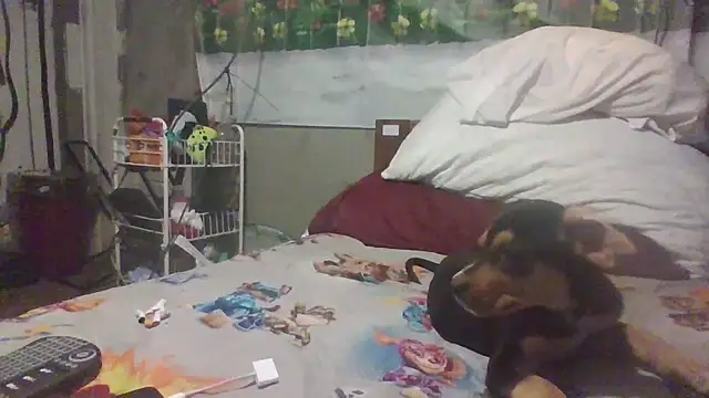 jaxx12369 online show from 03/28/26, 05:41