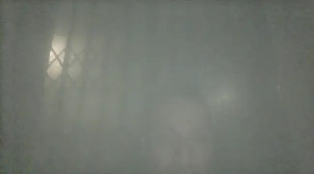 margiale84 online show from 12/19/24, 08:02