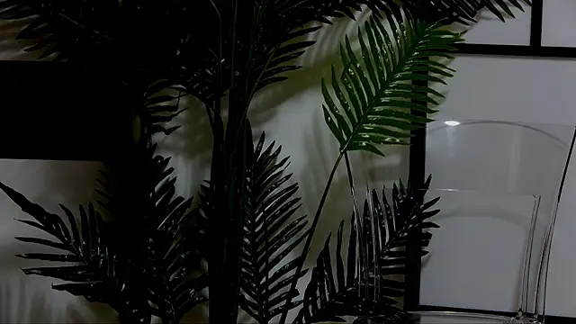 OnlyXandra online show from 10/24/25, 04:50