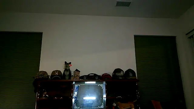 pimpdaddy4ever online show from 03/08/26, 02:37