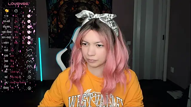 Snapshot of Project_hisoka chatting on 11/14/25, 11:25 Project hisoka online show from 11/14/25, 11:25