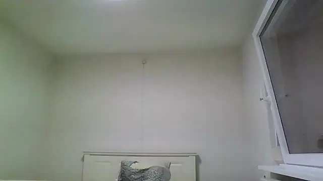 Wesleymodel online show from 02/10/26, 07:24