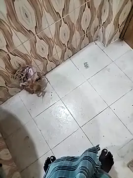 Snapshot of bas1cooks chatting on 09/30/25, 03:23 bas1cooks online show from 09/30/25, 03:23