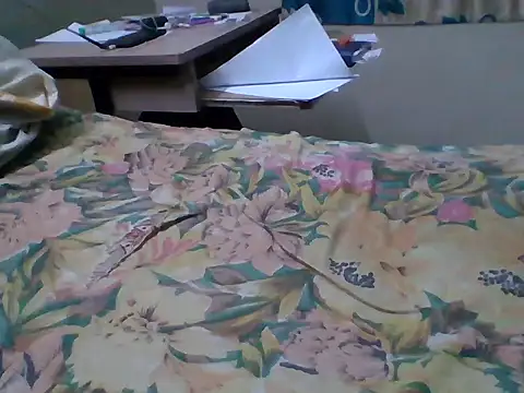 Snapshot of bas1cooks chatting on 09/27/25, 05:08 bas1cooks online show from 09/27/25, 05:08