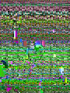 Snapshot of cadenfoxx111 chatting on 05/13/26, 05:20 cadenfoxx111 online show from 05/13/26, 05:20