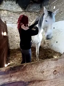 Tortuga95PL online show from 02/12/26, 10:59