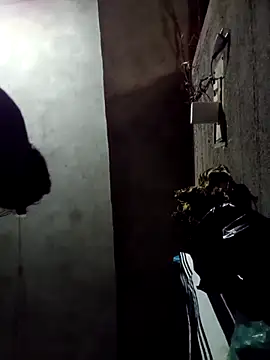 Yasha 14C Creator online show from 12/18/25, 09:47