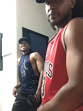 gavi 19cm online show from 11/17/25, 10:58