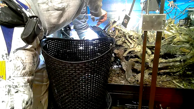 0815lukas2024 online show from 10/07/25, 09:27