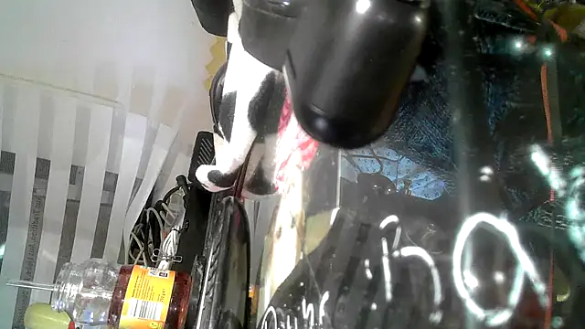 0815lukas2024 online show from 09/09/25, 09:13