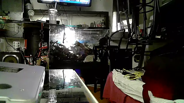 0815lukas2024 online show from 11/03/25, 05:05