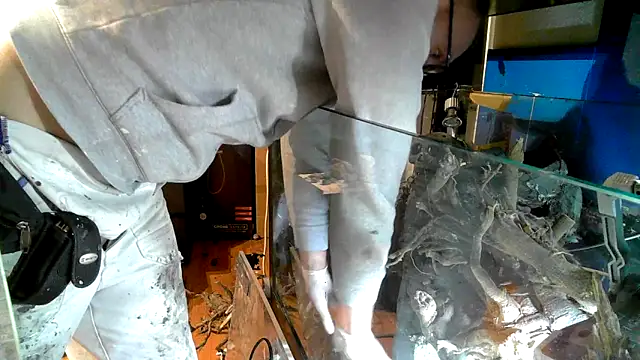 0815lukas2024 online show from 10/19/25, 10:56