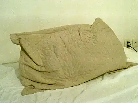 pollarikaaa online show from 11/06/25, 10:58