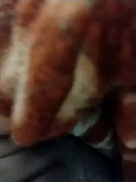 myhot1551 online show from 02/16/25, 06:43