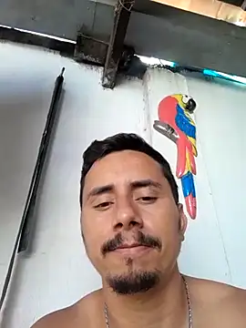 luissilva0071 online show from 02/04/25, 03:26