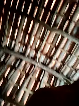 luissilva0071 online show from 03/23/26, 02:17
