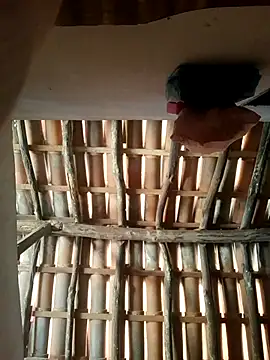 luissilva0071 online show from 02/24/26, 12:28