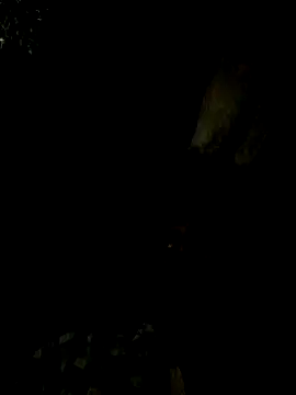 Tamil boy age28 online show from 02/15/25, 05:17