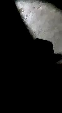 Tamil boy age28 online show from 03/01/25, 03:16