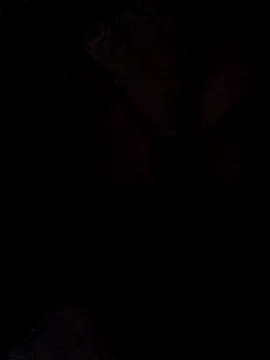 hugebobbs online show from 03/16/26, 11:03