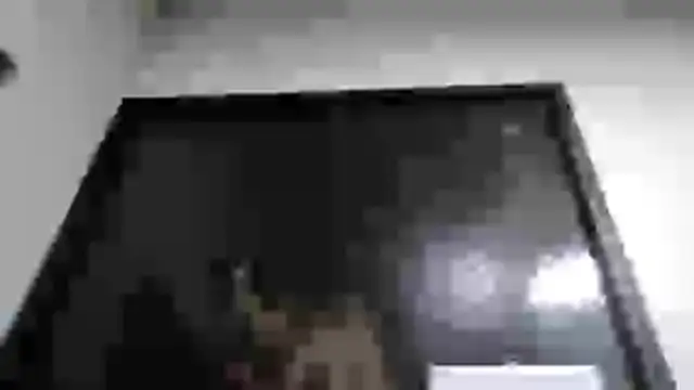 mmmVirginia online show from 03/24/26, 02:55