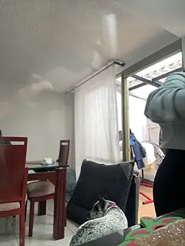 Salome golvert online show from 03/02/26, 08:38