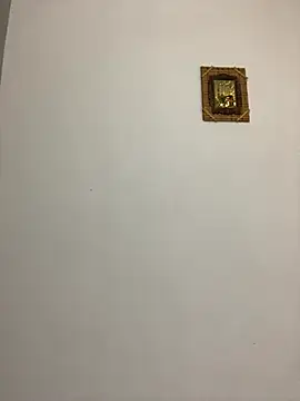 afrodizyak online show from 11/14/25, 10:30