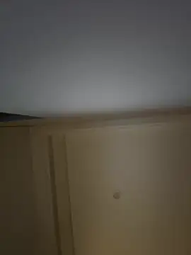 palzkybi123 online show from 03/01/26, 01:00