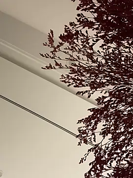 Snapshot of palzkybi123 chatting on 10/22/25, 12:04 palzkybi123 online show from 10/22/25, 12:04