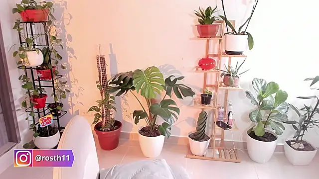 rossth1 online show from 11/11/25, 08:36