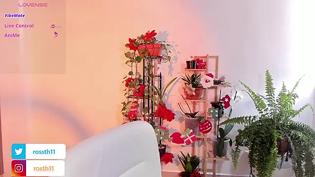 rossth1 online show from 11/26/25, 07:03