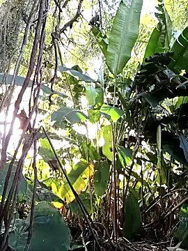 tuwegon online show from 06/17/26, 09:36