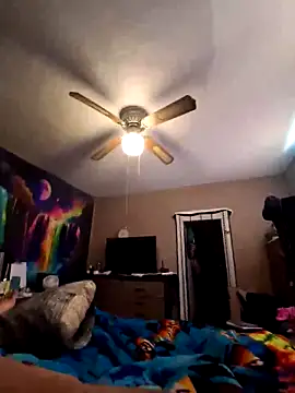 nuttinbuttcock69 online show from 05/08/26, 04:44