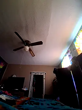 nuttinbuttcock69 online show from 05/06/26, 12:42