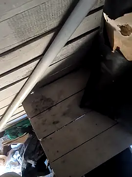 Snapshot of mitulik84 chatting on 12/19/25, 11:56 mitulik84 online show from 12/19/25, 11:56