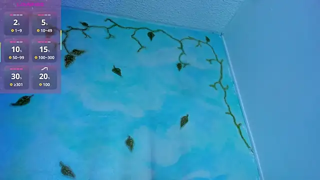 SaturnooStonee online show from 03/08/26, 02:04