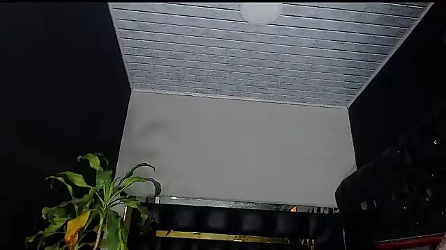 Snapshot of Kitie_Petarda chatting on 10/19/25, 10:01 Kitie Petarda online show from 10/19/25, 10:01