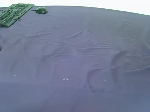 laetitia  online show from 01/06/26, 01:48