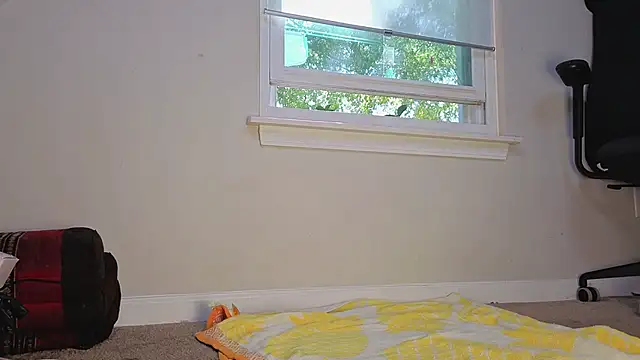 Theonlydreamybull online show from 11/12/25, 06:01