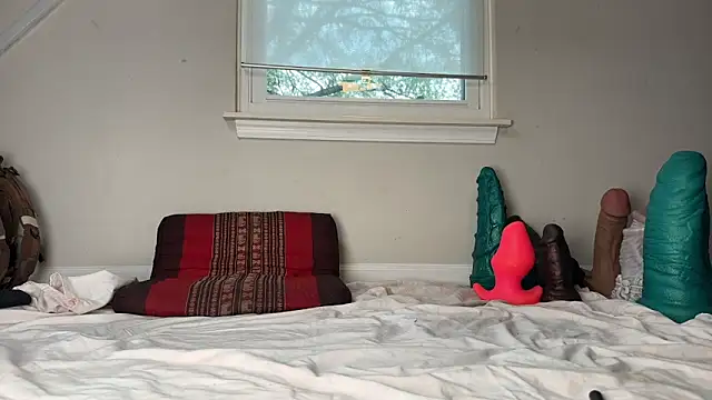 Theonlydreamybull online show from 12/03/25, 04:50