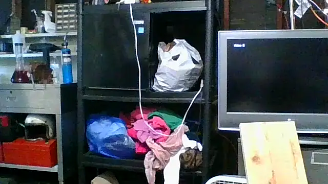 allissonw13 online show from 11/05/25, 11:19