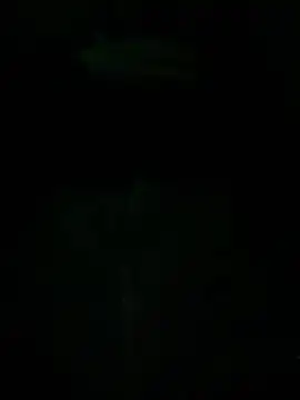 Txkng98 online show from 03/14/25, 12:43