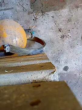 Din0071 online show from 01/07/26, 06:02