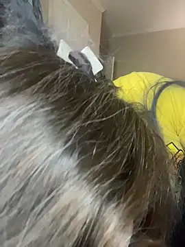 velvetta  online show from 11/25/25, 04:18