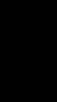 savhorseridecwby online show from 12/20/24, 11:16