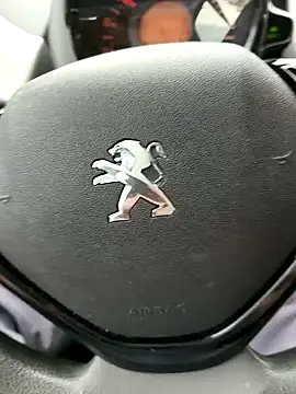 onbifeet online show from 03/18/25, 12:06